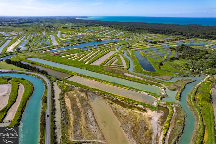 Marais salants