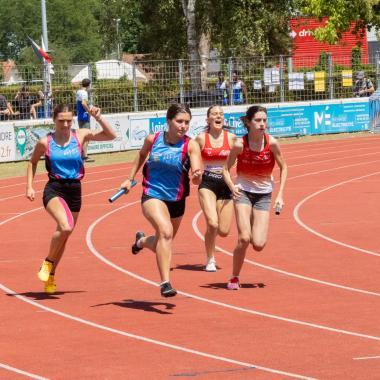 ajbo_20250705_142848_0288.jpg ajbo_20250705_142848_0288.jpg