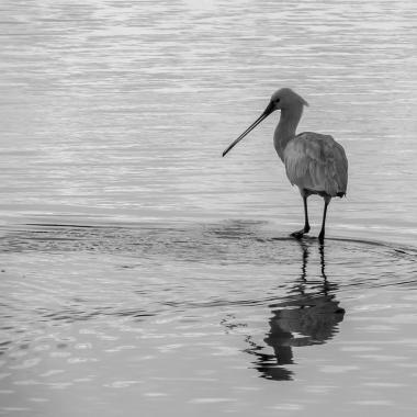 #thierryvallée #teich